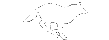 wolfr.gif (1715 bytes)